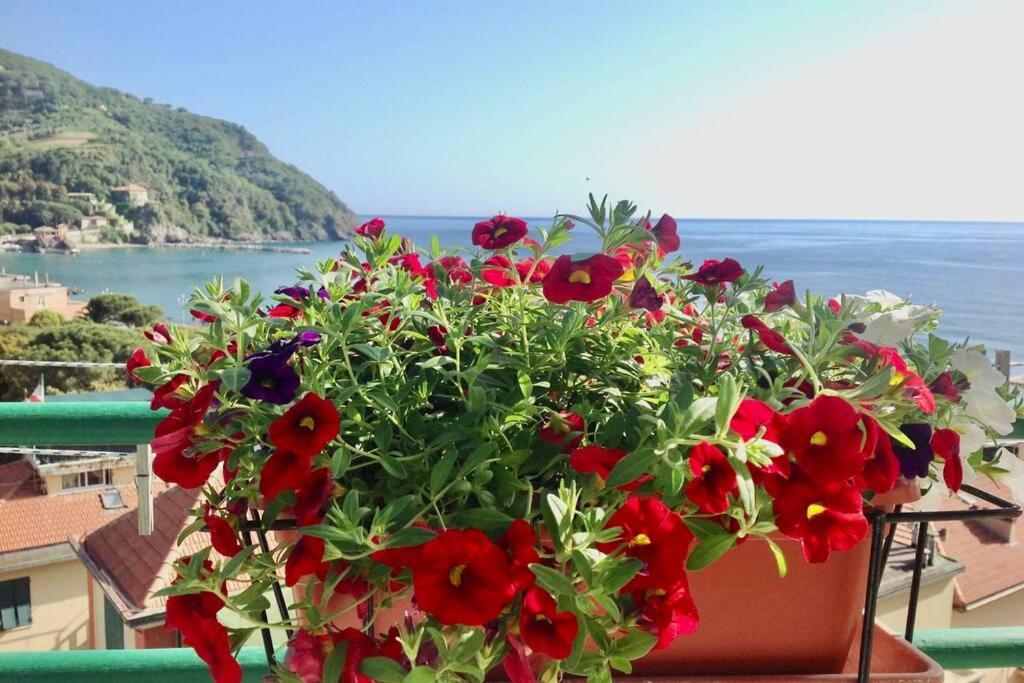 Splendido Appartamento Vista Mare Levanto Eksteriør billede